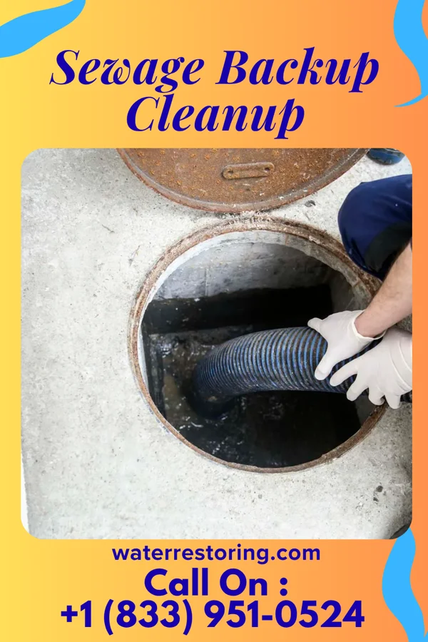 Sewage Backup Cleanup in Plainville, OH